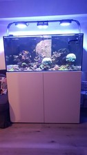 Complete Waterbox REEF Aquarium White - REEF 130.4