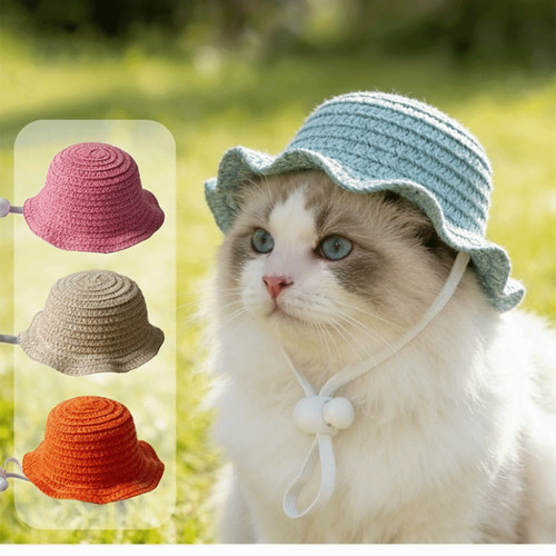Pet straw hat wide brim - pet,