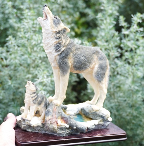 Wolf cub howling - &,
