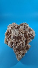 Desert Rose Tunisia North