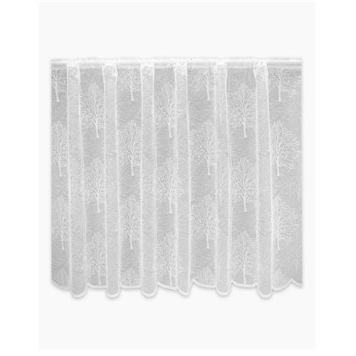 Premium quality birch trees - premium,