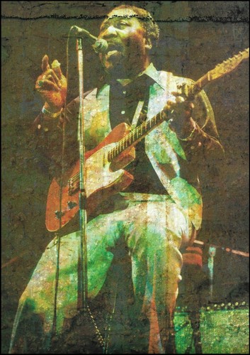 Muddy waters live onstage with - muddy,