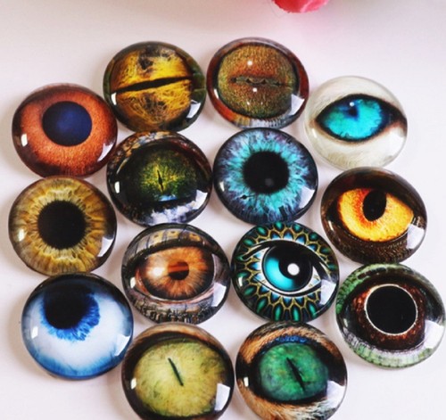 Animal eyes round glass - 2x,