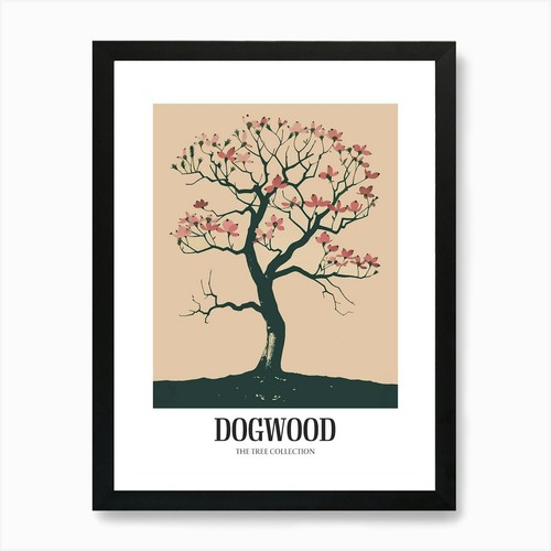 Dogwood tree colourful - dogwood,