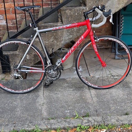 Wilier triestina road bike - wilier,