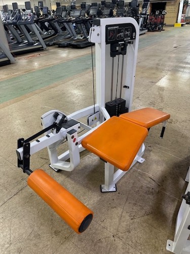 Hammer strength select - |,