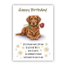Chesapeake Bay Retriever
