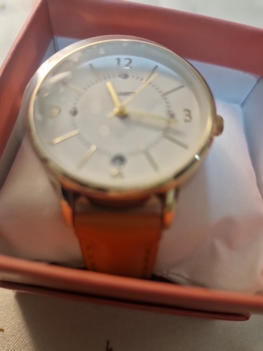 Ladies watch - ladies, watch.