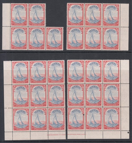 Bermuda gvi four umm - gvi,