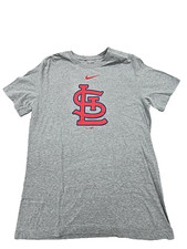 Nike Men's Gray The Nike Tee