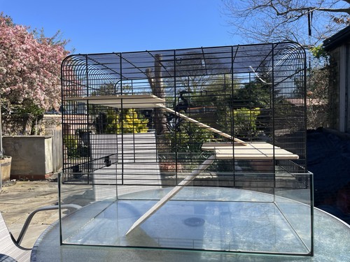 Gerbilarium tier glass - gerbilarium, 2-tier
