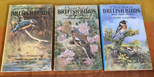 Vintage ladybird books - vintage,