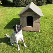 Dog House - Hand made for outdoors