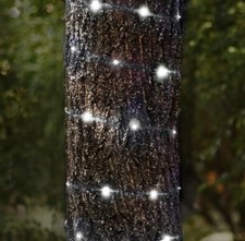 NEW PRESTIGE 100 LED COOL