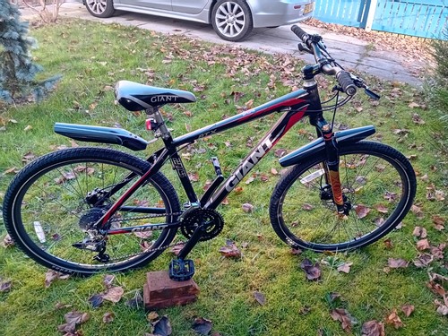 Giant atx mountain bike - 2,