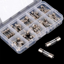 100pcs Fast-Blow Glass Fuses