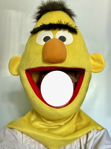 Adult bert mascot fancy - fancy, dress