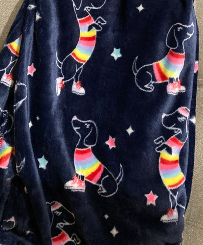 Dachshund lush plush - 🌈,