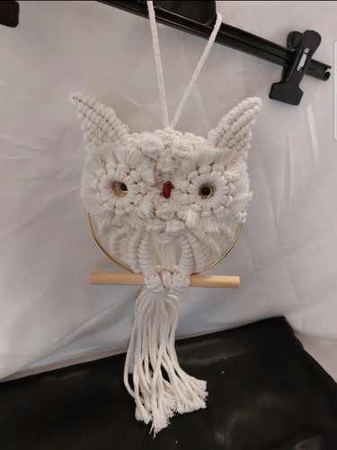 Macrame owl wall hanging wall
