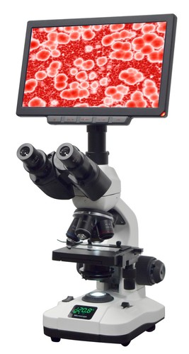 Trinocular lab microscope - trinocular,