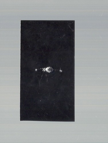 Silver oak leaf device