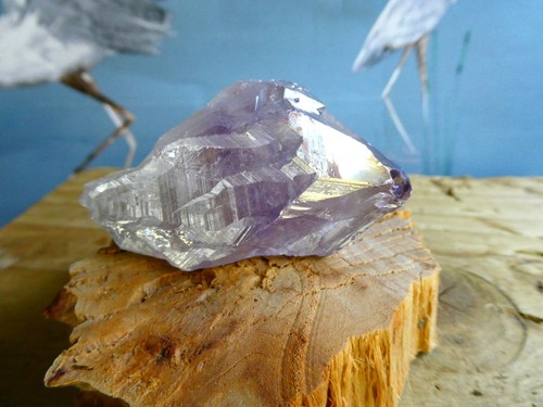 Large chunky rough cut - rough,