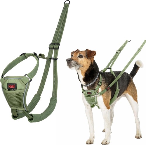Halti pull harness to - pull,