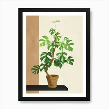 Monstera Obliqua Art Print