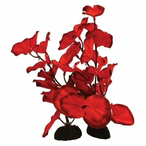 Aquarium artificial water - aquarium,