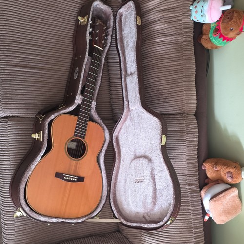 Davies guitar type 01 - guitar, co.