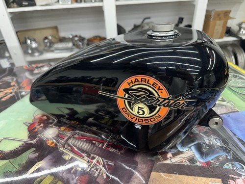 Harley davidson evo - harley,