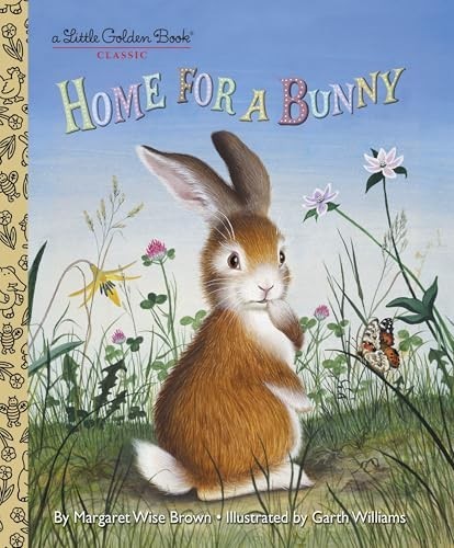 Home for bunny - for, a