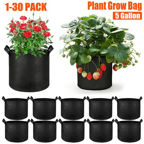 Pack gallon planting - pack,