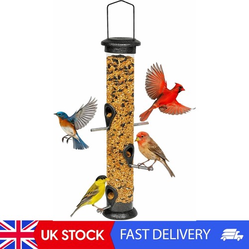 Bird feeder seed - feeder, birdfeeder