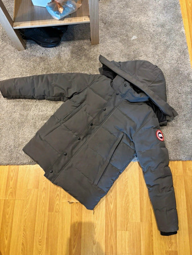 Canada goose grey hooded down - goose,