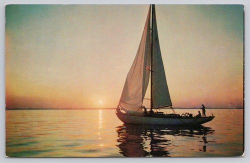 Greetings from maine - greetings,