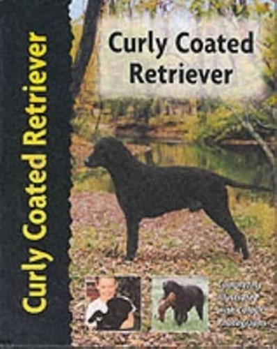 Curly coated retriever - curly,