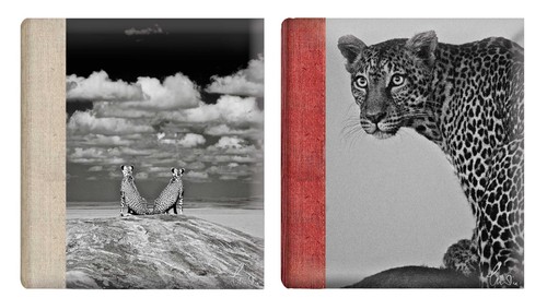 Self adhesive photo album - self,