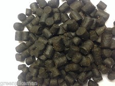 Premium sturgeon sterlet fish - premium,