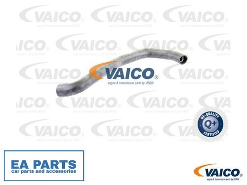 Radiator hose for - radiator,
