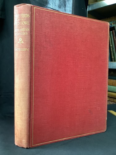 Good 1st edition colour plates - edition,