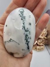 ✨️SALE✨️ Tree White Moss agate Palm Palmstone crystal Green 6.5cm 94g