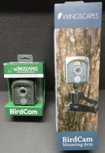 New wingscapes birdcam bird - wingscapes,