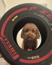 Formula 1 Tires Pirelli P Zero