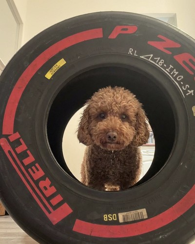 Formula tires pirelli zero - formula,