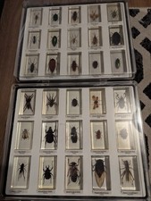 National Geographic's Real