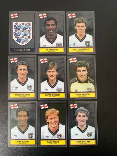 Panini plastic football - panini,