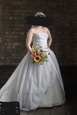 Vera Wang Stirling Wedding Dress Grey Strapless Ballgown with Train 10/12 READ 