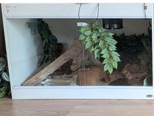TVT white Vivarium 3 X 2 X 2 feet Solid Unit With Sliding Glass DoorS