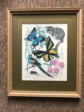 Signed Marjorie Blamey Limited